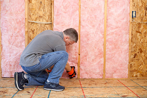 Best Basement Insulation  in Alpine, CA